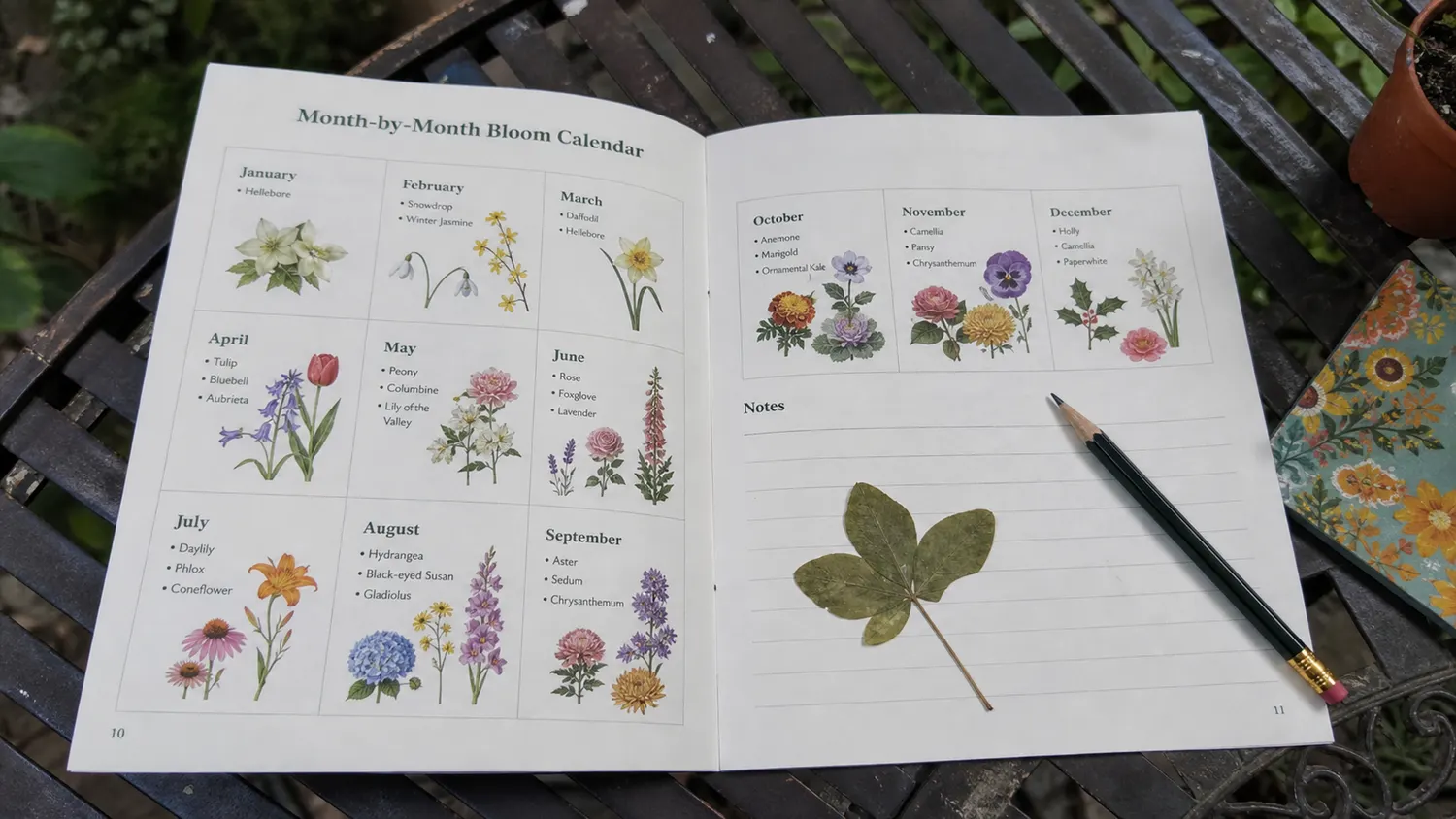The Year-Round Bloom Calendar (month by month)