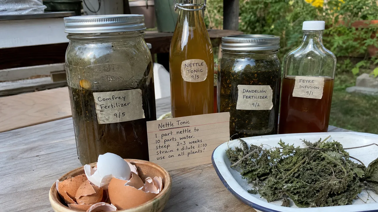 Natürlicher Dünger & Pflanzenstärkung — Rezept-Set